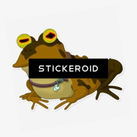 Futurama Transparent Frog, HD Png Download, Transparent PNG