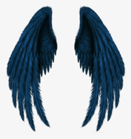 Blue Wings Png, Transparent Png, Transparent PNG