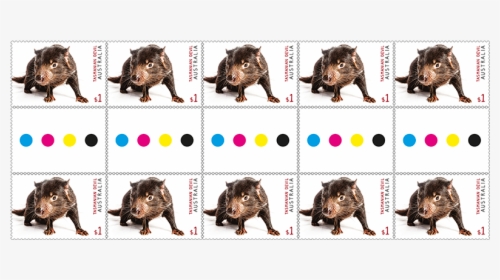 Tasmanian Devil Png, Transparent Png, Transparent PNG