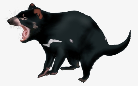 Tasmanian Devil Png, Transparent Png, Transparent PNG