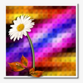 Background, Flower, Leaves, Flowers, Reason, Design, HD Png Download, Transparent PNG