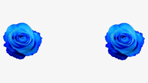 Flowers Background Png, Transparent Png, Transparent PNG