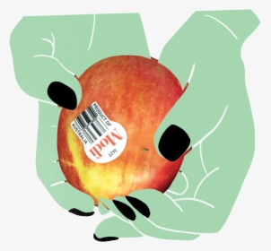 Apple In Hands, HD Png Download, Transparent PNG