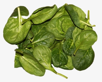 Spinach Leaves, HD Png Download, Transparent PNG