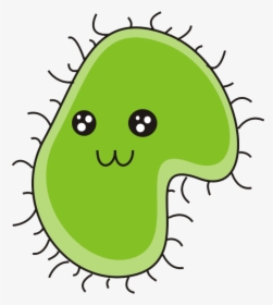 Bacteria Download Png, Transparent Png, Transparent PNG