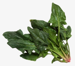Spinach Png Image, Transparent Png, Transparent PNG