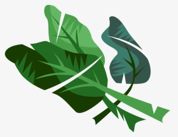 Vector Illustration Of Edible Vegetable Leaf Plant, HD Png Download, Transparent PNG