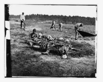 African Americans Collecting Bones Of Soldiers Killed, HD Png Download, Transparent PNG