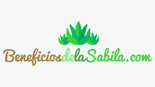 Beneficios De La Sabila, HD Png Download, Transparent PNG