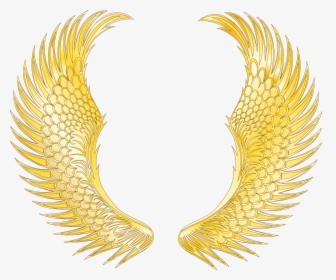 Transparent Angel Wings Vector Png - Gold Wings Png Clipart, Png Download, Transparent PNG