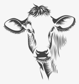 Cabeza, Vaca, Ganado, Animales, Granja - Cow Face On Canvas, HD Png Download, Transparent PNG