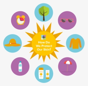 Infographic On The Methods Of Sun Protection - Circle, HD Png Download, Transparent PNG