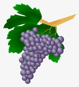 Wine Grapes Clip Art Png, Transparent Png, Transparent PNG