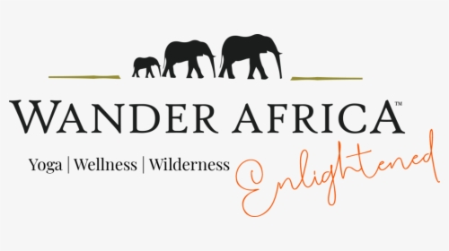 Enlightened Logo - Indian Elephant, HD Png Download, Transparent PNG