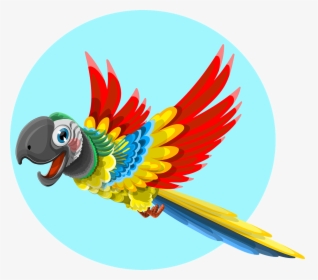 Parrot, Animal, Bird, Wild, Ara, Feather, Tropical - Quad City Parrot Head Club, HD Png Download, Transparent PNG