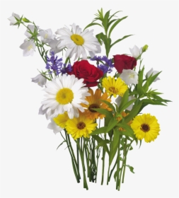 Mi Artista Favorito Es - Colour Flower And White Hd Background, HD Png Download, Transparent PNG