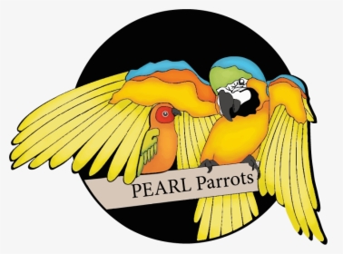 Pearl Parrots, HD Png Download, Transparent PNG