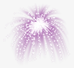 Purple Fireworks - Purple Fireworks White Background, HD Png Download, Transparent PNG