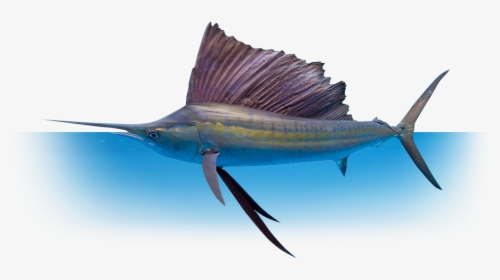 Whether You Re Fishing With Family And Friends, Or - Deep Sea Fishing Png, Transparent Png, Transparent PNG