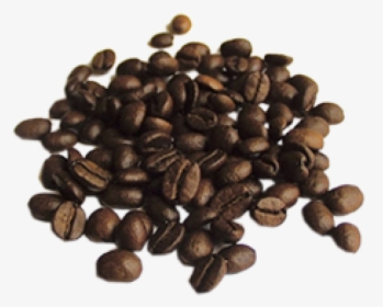 Coffee Beans Png Free Download - Quality Of Coffee, Transparent Png, Transparent PNG