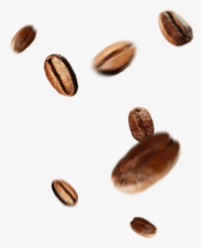 Beans - Seed - Seed, HD Png Download, Transparent PNG