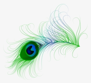 Feather,graphic Design,graphics,clip Art,fashion Accessory,logo,natural - Peacock Feather Png Vector, Transparent Png, Transparent PNG