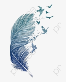 Feather Clipart Bird - Feather With Flying Birds, HD Png Download, Transparent PNG