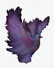 Computer Icons Fantasy Purple Color Feather - Pigeons And Doves, HD Png Download, Transparent PNG