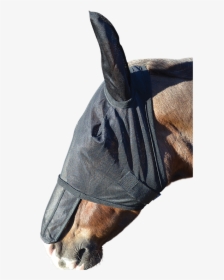 Fly Mask, HD Png Download, Transparent PNG
