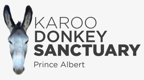Karoo Donkey Sanctuary, HD Png Download, Transparent PNG