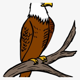 Free Eagle Clipart Eagle Feather Clipart At Getdrawings - Eagle Clipart, HD Png Download, Transparent PNG