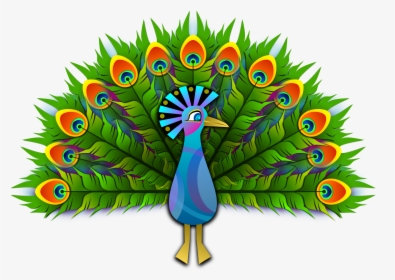 Art,tree,graphics,beak - Peacock Clipart, HD Png Download, Transparent PNG