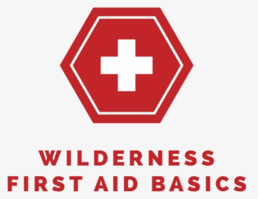 Aimu Wildernessfirstaidbasics - Wilderness First Aid Cards, HD Png Download, Transparent PNG