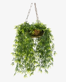 Hanging Plants Png - Hanging Flower Pots Png, Transparent Png, Transparent PNG
