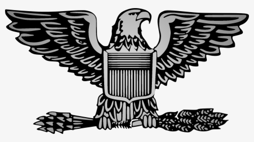 Eagle Clipart Army - Air Force Colonel Rank, HD Png Download, Transparent PNG