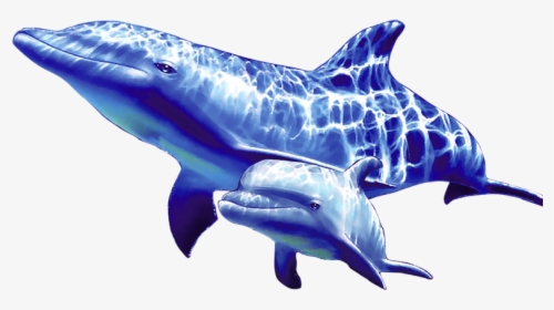 Transparent Dolphin Clipart Png - Dolphin Underwater Png, Png Download, Transparent PNG