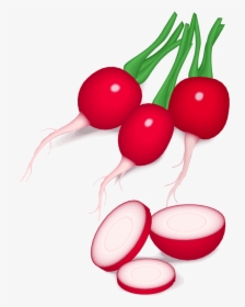 Radishes Clipart, HD Png Download, Transparent PNG