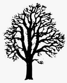 Horse Chestnut Tree Silhouette, HD Png Download, Transparent PNG