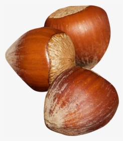 Chest Nuts Png Transparent, Png Download, Transparent PNG