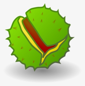 Transparent Chestnut Png - Conkeror Icon, Png Download, Transparent PNG