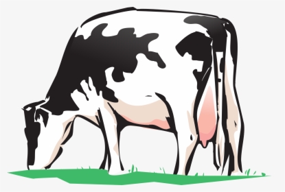 Veterinary Medicine For Cow - Cow Grazing Clipart Png, Transparent Png, Transparent PNG