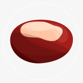 Chestnut-icon - Illustration, HD Png Download, Transparent PNG