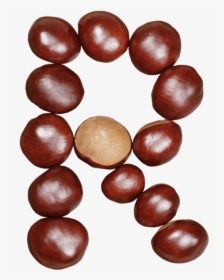 Chestnut Font - Buckeye, HD Png Download, Transparent PNG