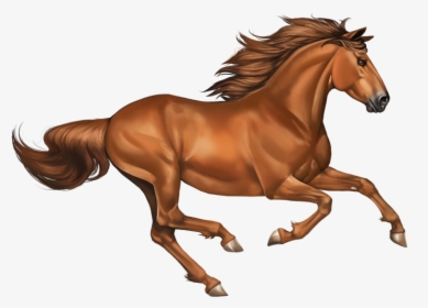 Transparent Chestnut Clipart - Horse Mustang Png, Png Download, Transparent PNG