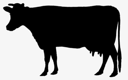 Holstein Friesian Cattle Animal Silhouettes Calf Beef - Farm Animal Silhouettes Clipart, HD Png Download, Transparent PNG