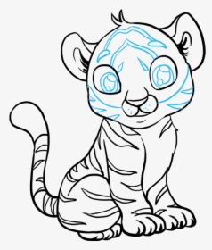Transparent Baby Tiger Png - Draw A Baby Tiger, Png Download, Transparent PNG