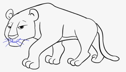 How To Draw Cartoon Tiger - Cartoon Tiger Drawing, HD Png Download, Transparent PNG