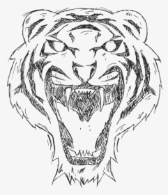 Tiger, Cartoon, Animal, Illustration, Black, White - White Tiger Arts Png, Transparent Png, Transparent PNG