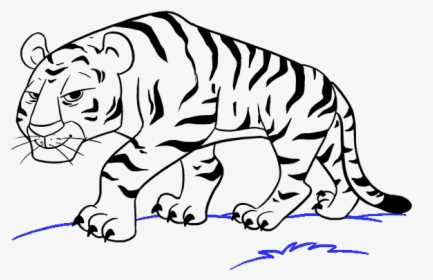 How To Draw Cartoon Tiger - Tiger Cartoon Drawing Easy, HD Png Download, Transparent PNG