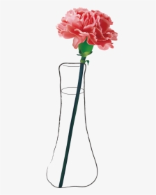 Carnation Flower, HD Png Download, Transparent PNG